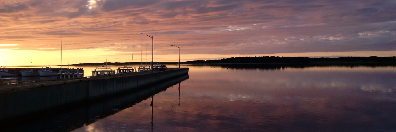 Sidney MacEwen banner
