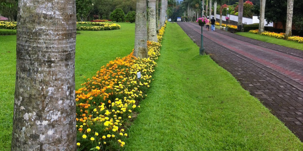 عابد الحربي banner