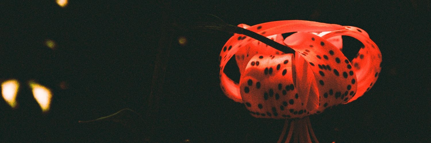 alonzo banner