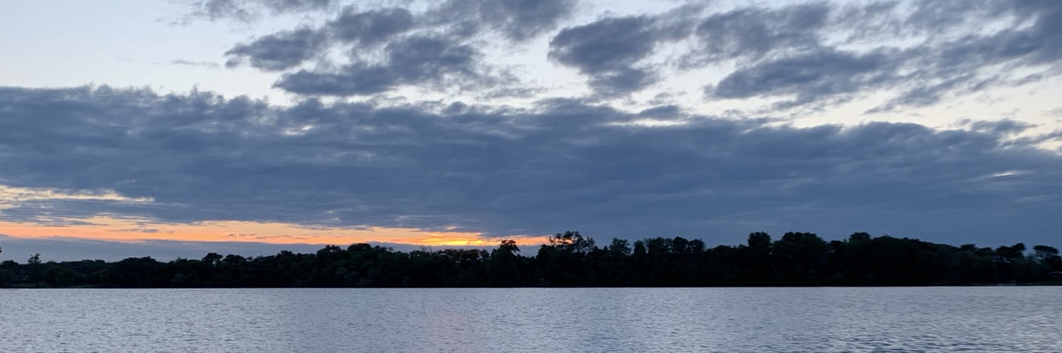 LizMilam3's profile banner image