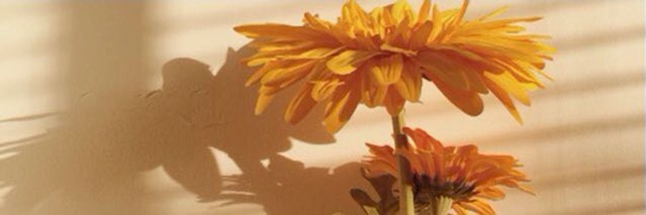 bjtchasss's profile banner image