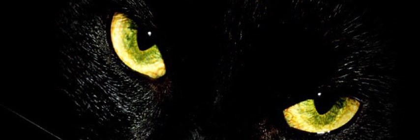 sergiotorga's profile banner image