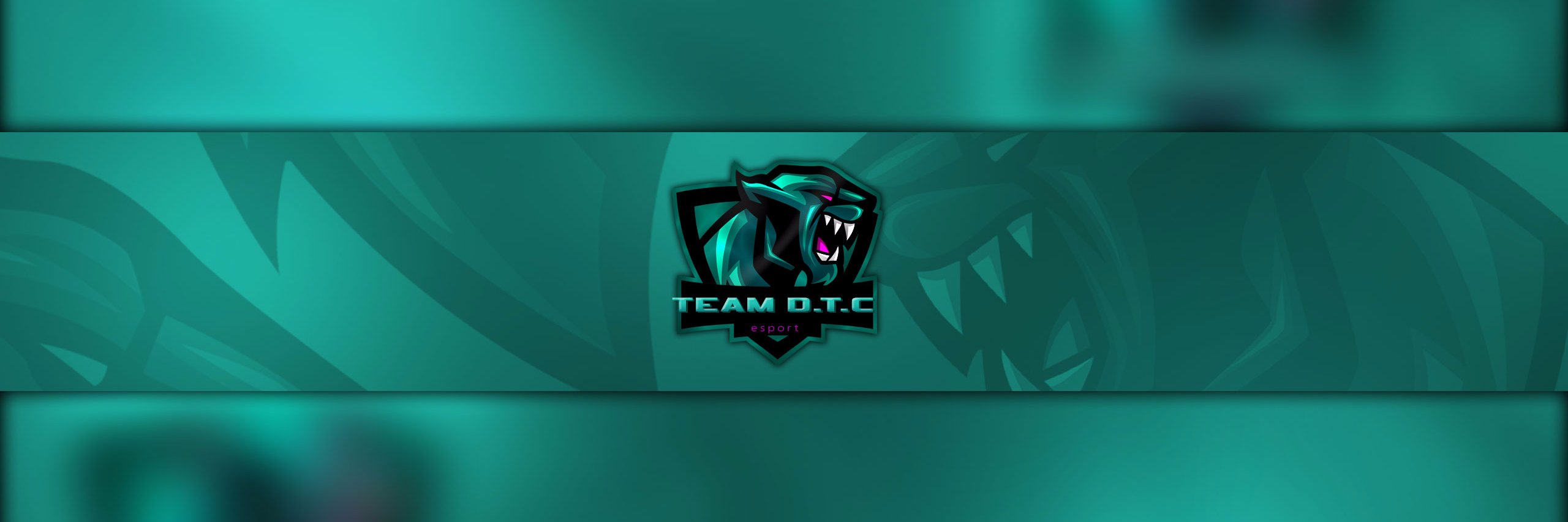 Team D.T.C banner