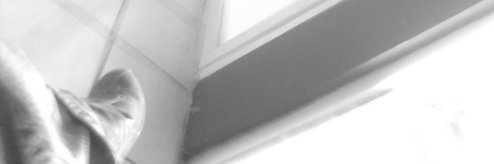 DanieldelaLlav2's profile banner image