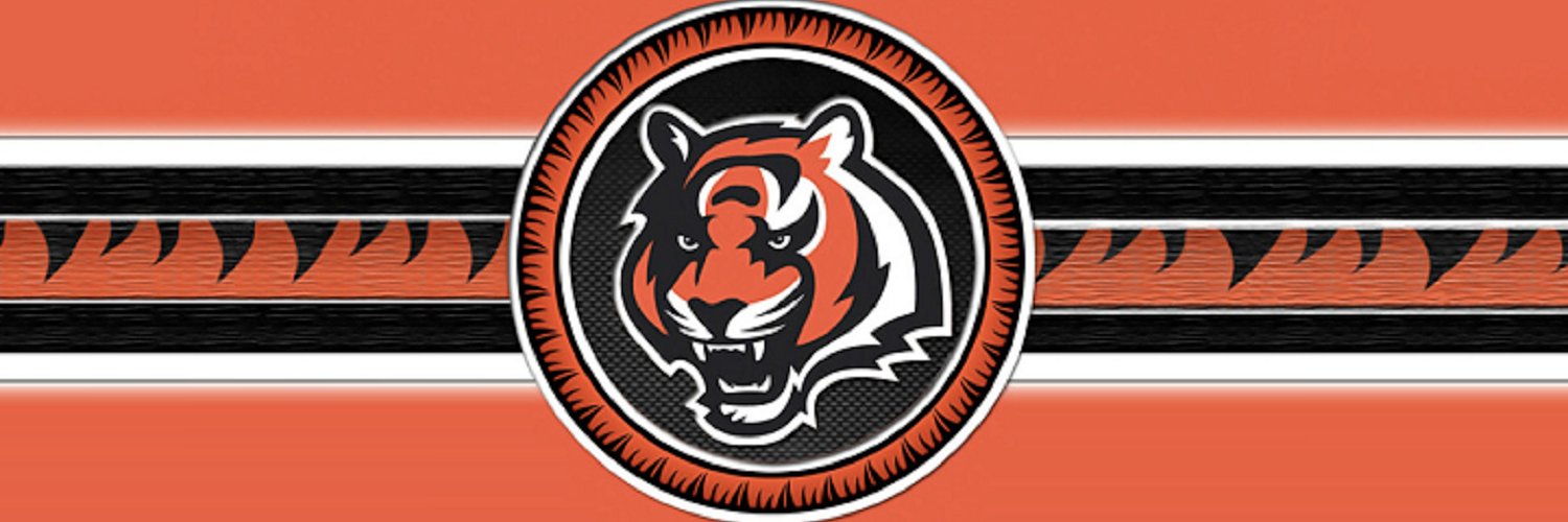 SeussieBengal's profile banner image