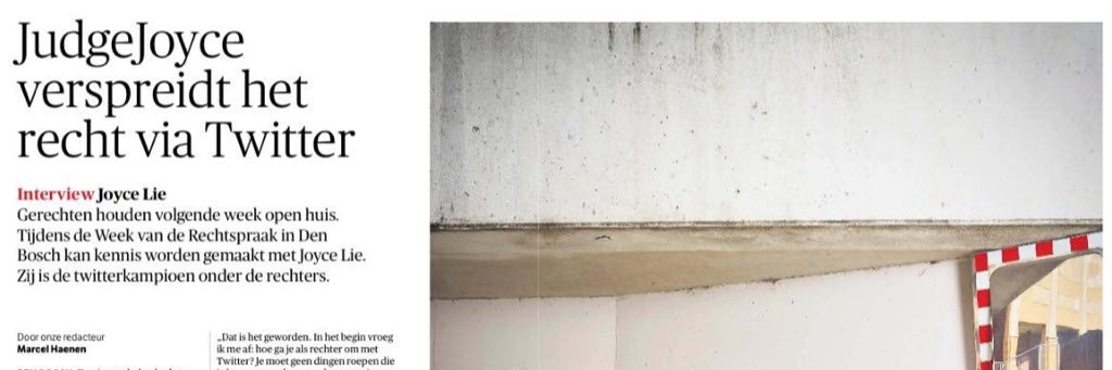 Judge Joyce (Joyce Lie) banner