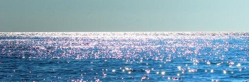 🐆 banner