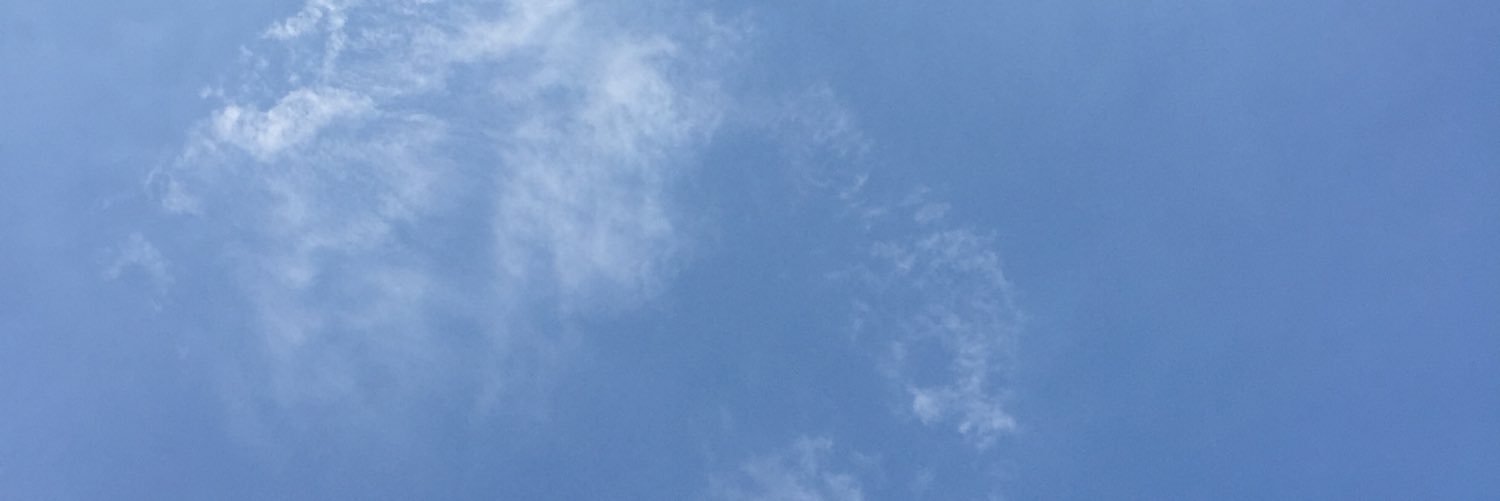 thoughtfulsins's profile banner image