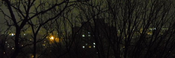 bedroque00 Profile Banner