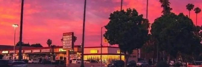 Fox 🦊. banner