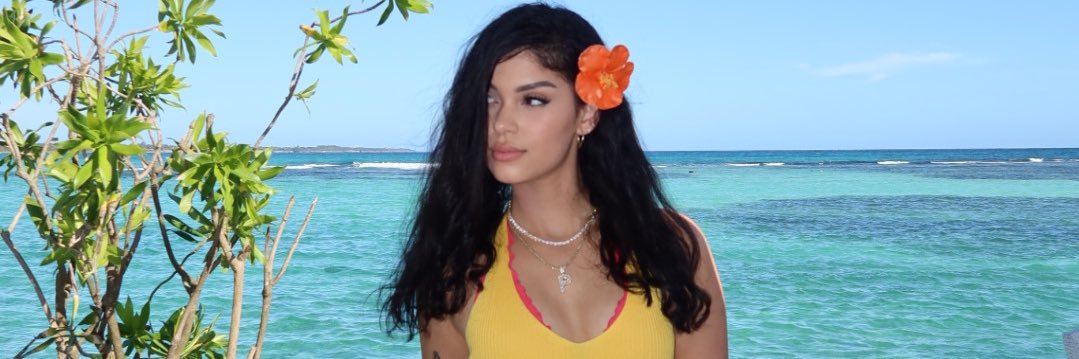 Pamela Rodriguez banner