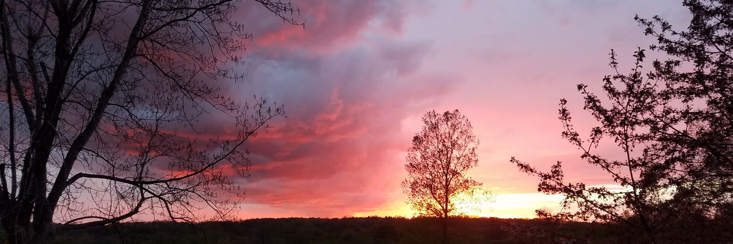 Mary L. McClelland banner