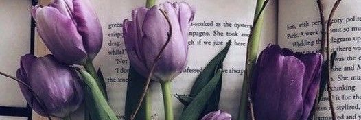 evah_42's profile banner image