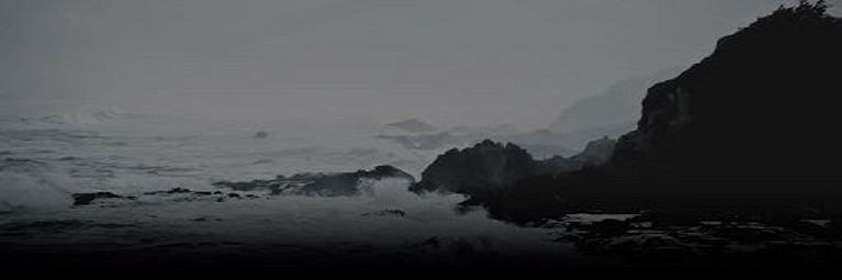 scallopsoftware's profile banner image