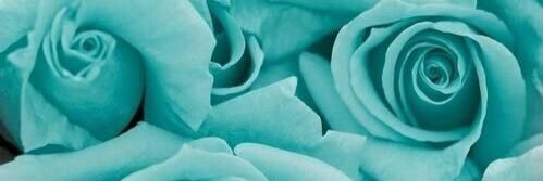 ChrissPrissy's profile banner image