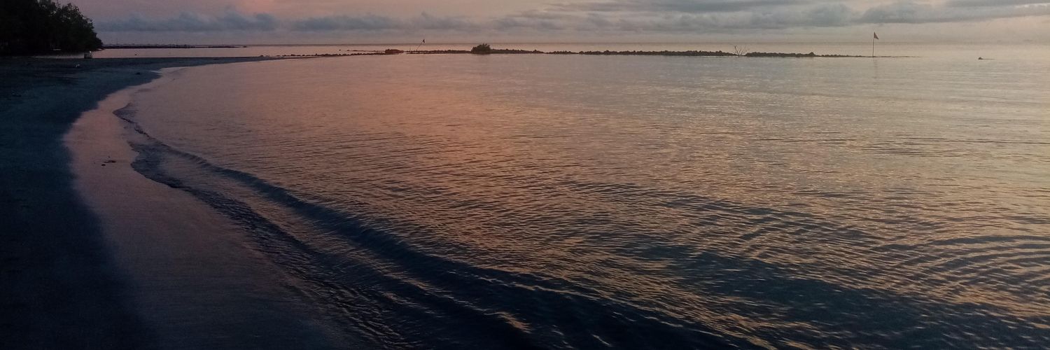 XtRosa's profile banner image