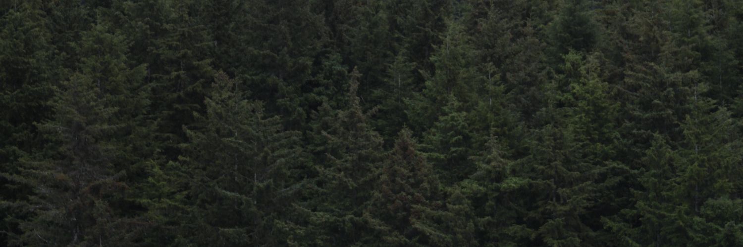 oochonzas's profile banner image