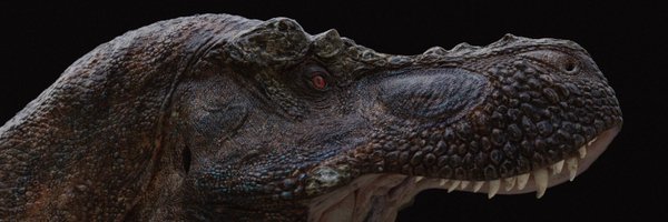 vitaimagination Profile Banner