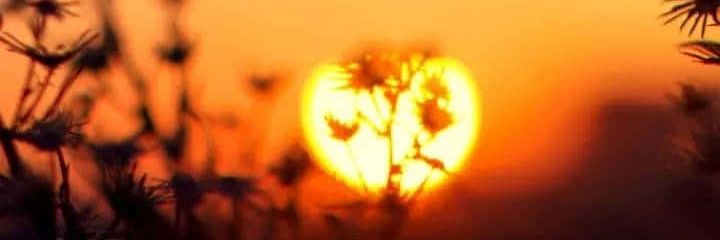 avink279's profile banner image
