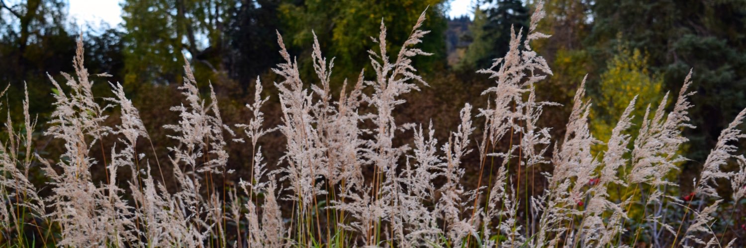 lizgoodrum's profile banner image