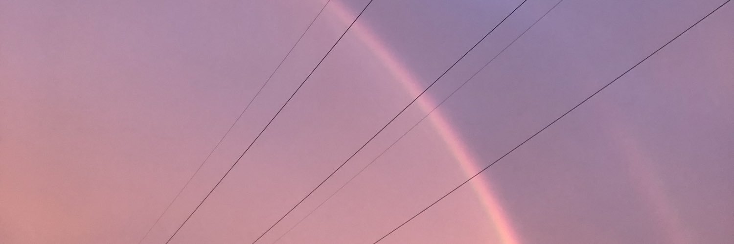 dziewulskaaa's profile banner image