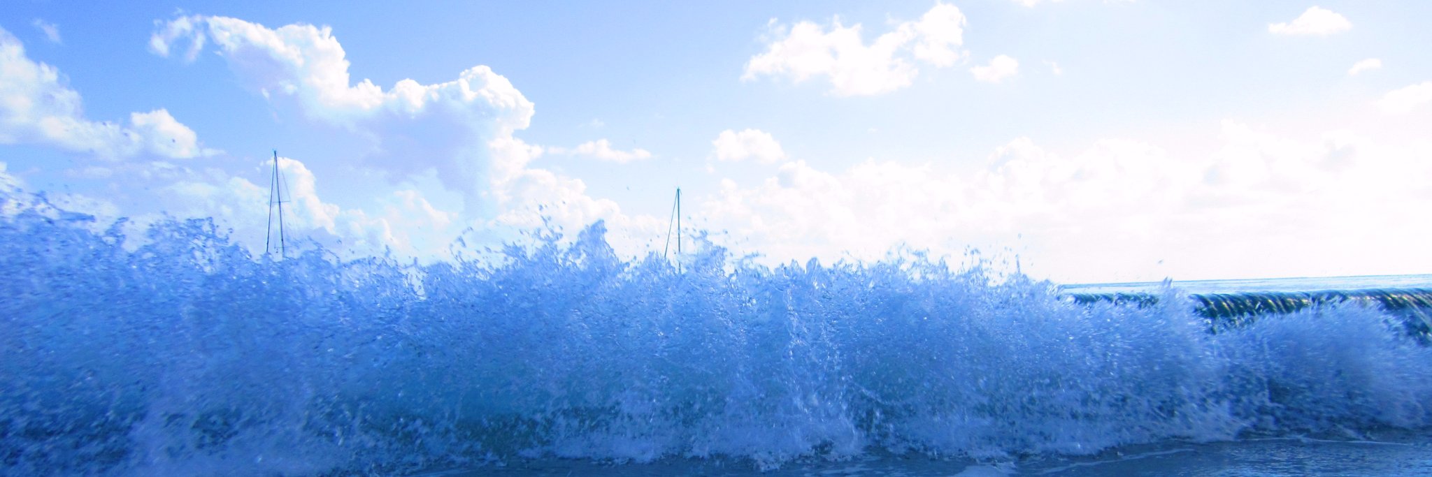 Marta Coll-Florit banner