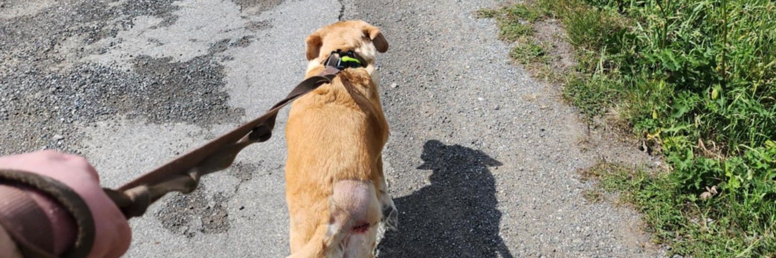 Valentin Prssx banner