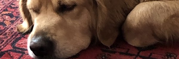 sanjay_HPB Profile Banner