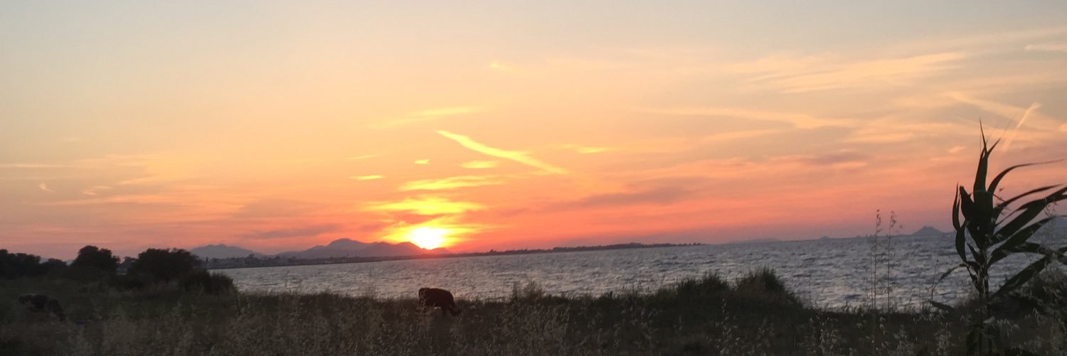 HKnibb's profile banner image