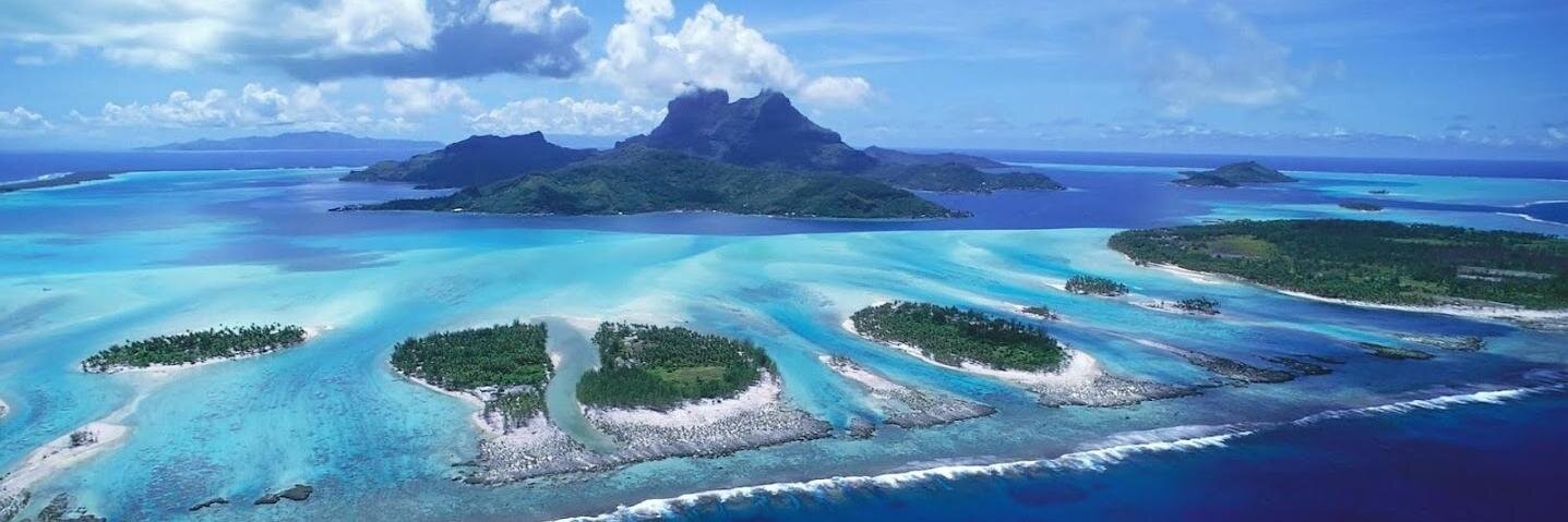 Fitz Williams banner