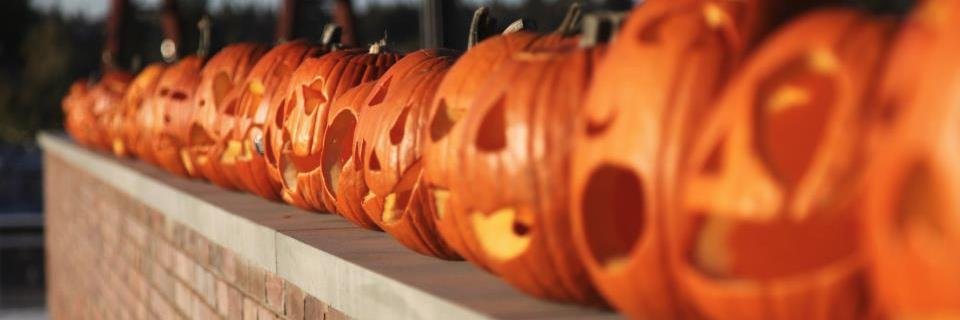 1000Pumpkins's profile banner image