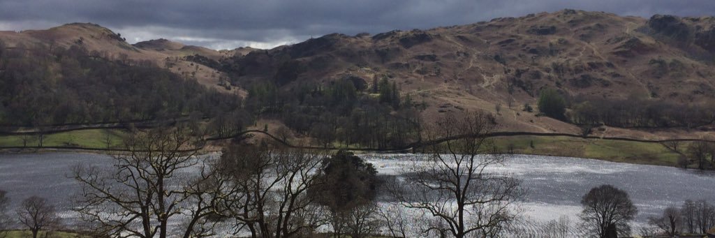 Seriously?ComeOn🇬🇧🌸 banner