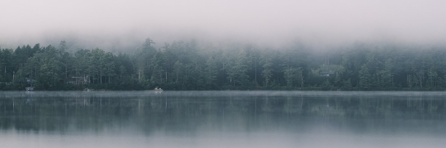 Shi Feng凤石 banner