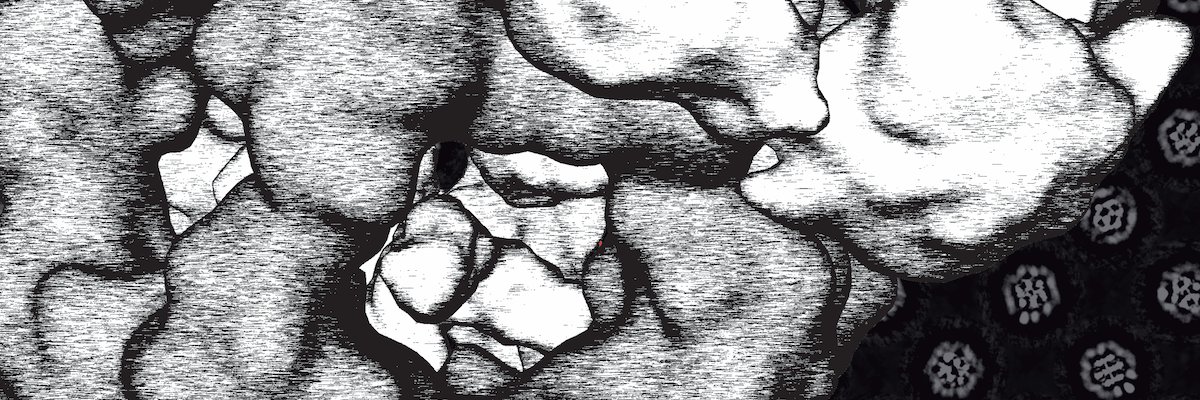 Panagiotis Kastritis banner