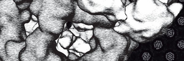 3Dstructure Profile Banner