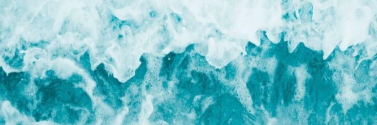 Victoire Weasley banner