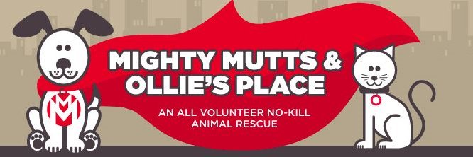MightyMutts's profile banner image