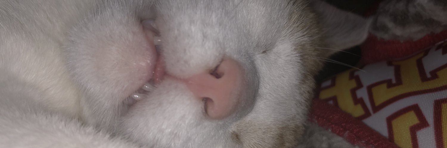 emmasnipsnip's profile banner image