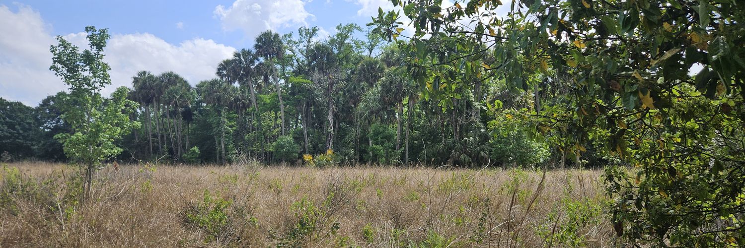 Lucas Milliron banner