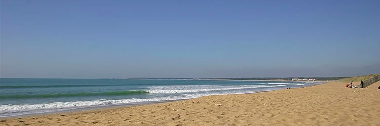 KatyCathCMC 🌼🌱🇫🇷🇪🇺 #NiLFI-NiPS-NiVert.. banner