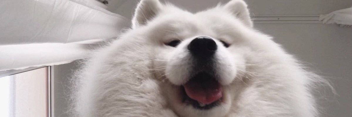 everysayno's profile banner image