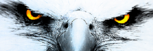 osman_samlioglu's profile banner image
