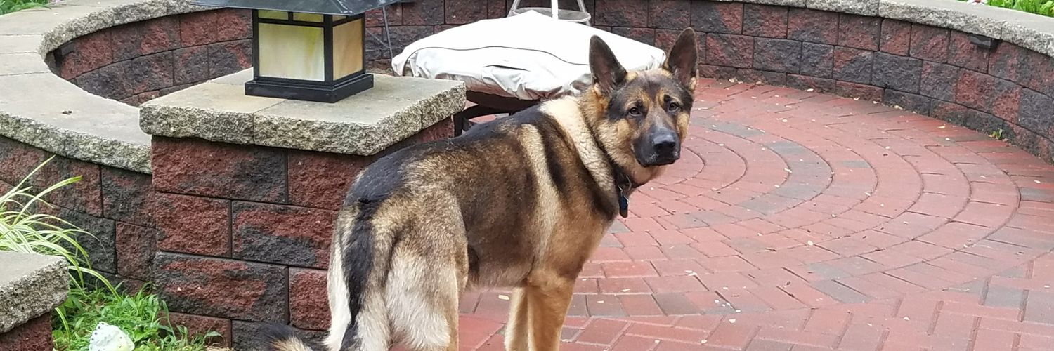 LuckyGSD's profile banner image