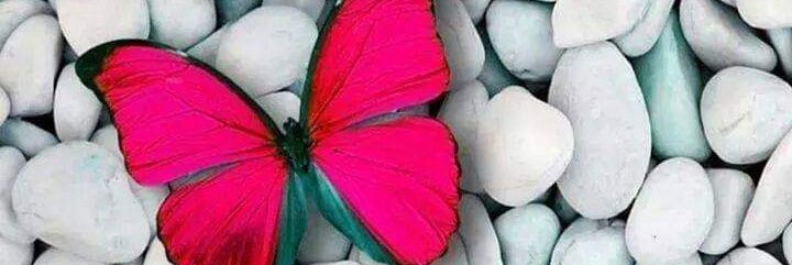 Nigar Malik banner