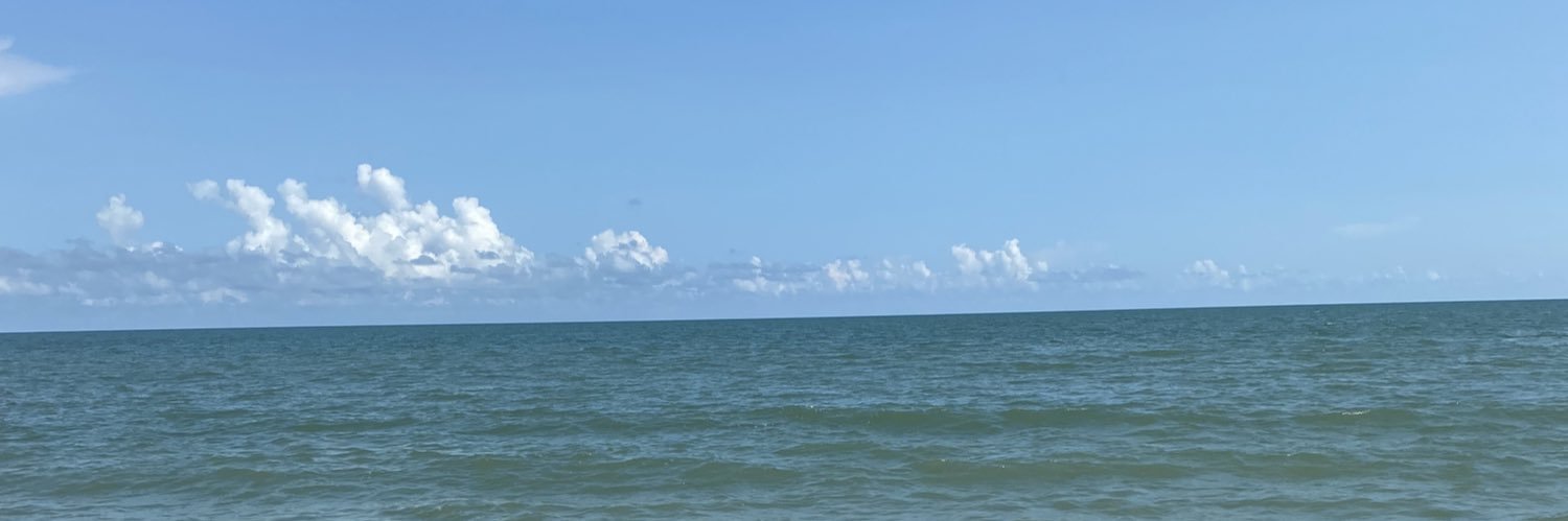 toriciallella's profile banner image
