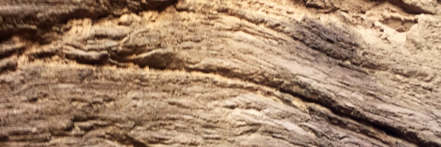 florenciacb's profile banner image