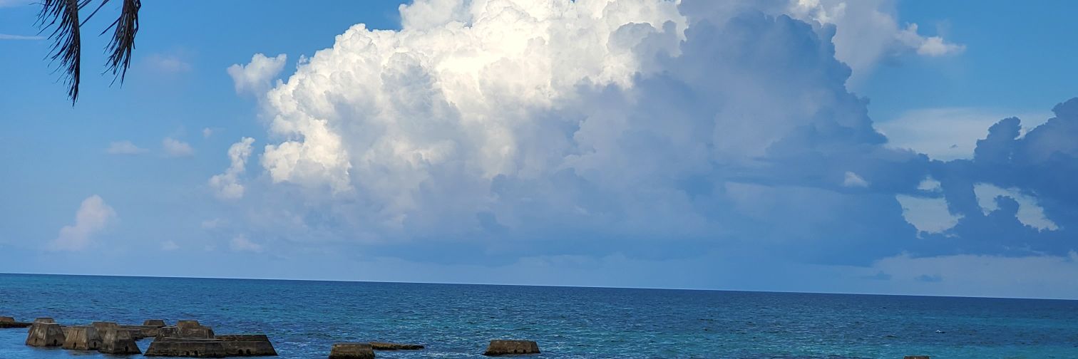 D sammy Oh Fo banner