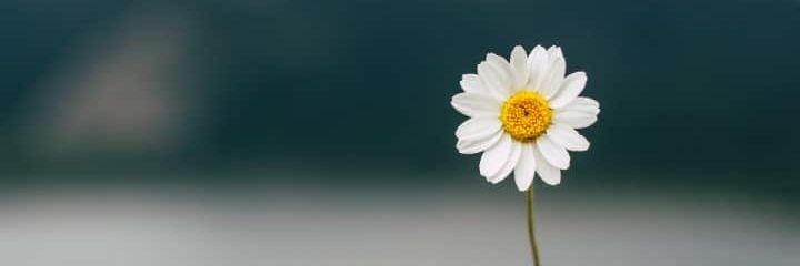 Je_wine's profile banner image