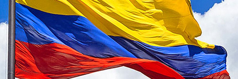 ydalerojo's profile banner image
