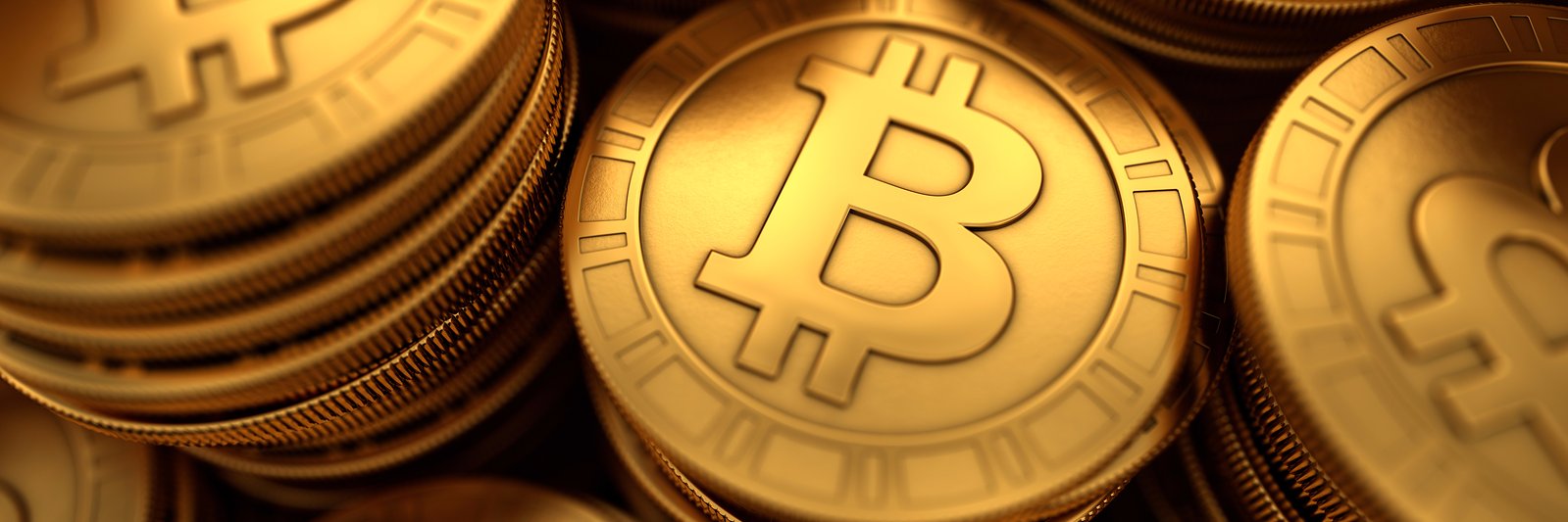 acmsbtc's profile banner image